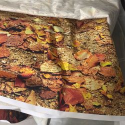 Various Photography Backdrops - Price Negotiable 