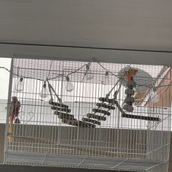 Bird Cage