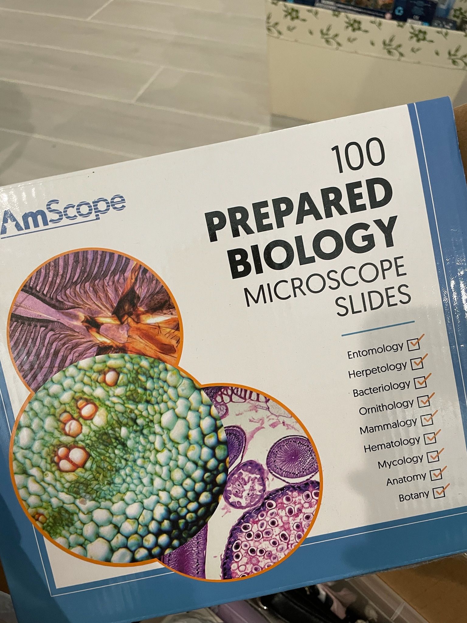 100 Microscope Slides