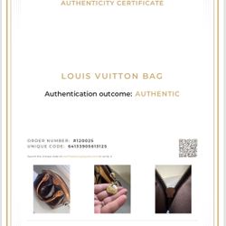 Louis vuitton Bag