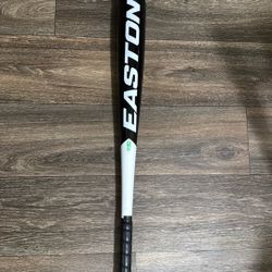 Easton 31 inch bat 