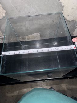 Fish tank