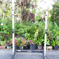   CAP    :  BENCH / SQUAT  RACK 
