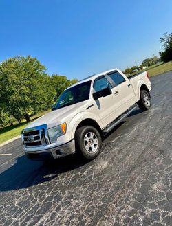 2010 Ford F-150