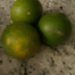 Naranja agria