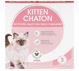 Kitten Chaton