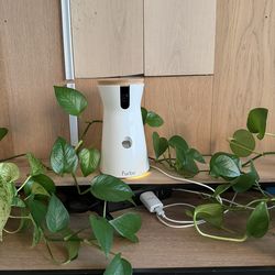 Furbo 360 Dog Camera