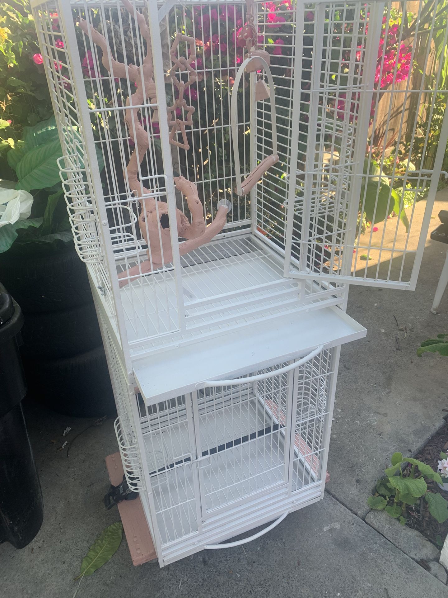 Bird Cage