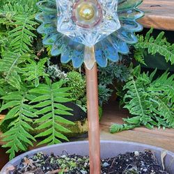 Forever Blooming Flowers 