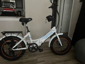 Lectric bike