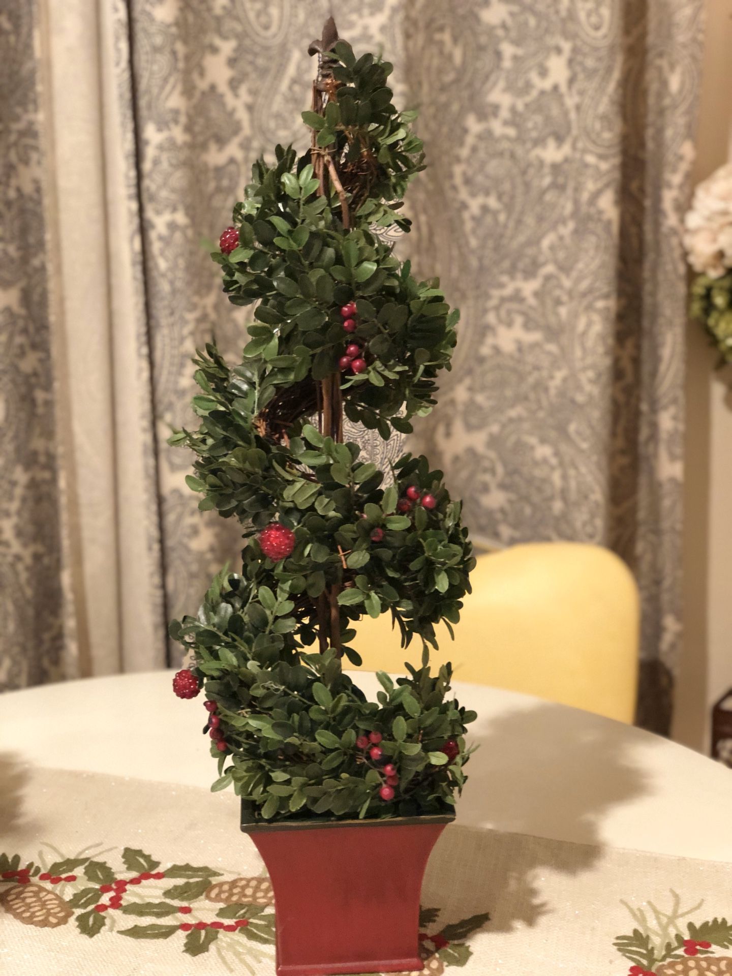 Small decorative Christmas plant