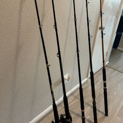 Heavy Duty Casting Rods