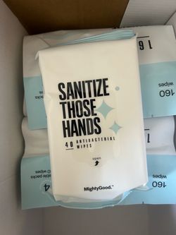 24bags Antibacterial Hand Wipes 40-Count