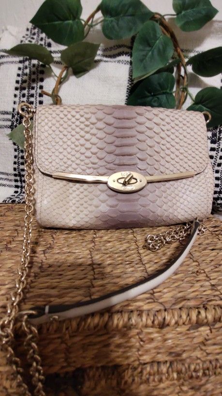 Limited Edition Coach