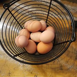 Fresh Brown Eggs Picked Daily