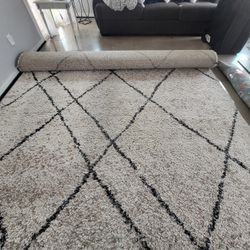 Beautiful Area Rug!!!