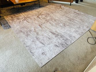 Like new 8x10 Area rug