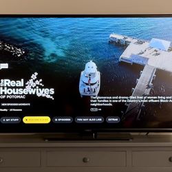 48” Insignia TV w/ Remote