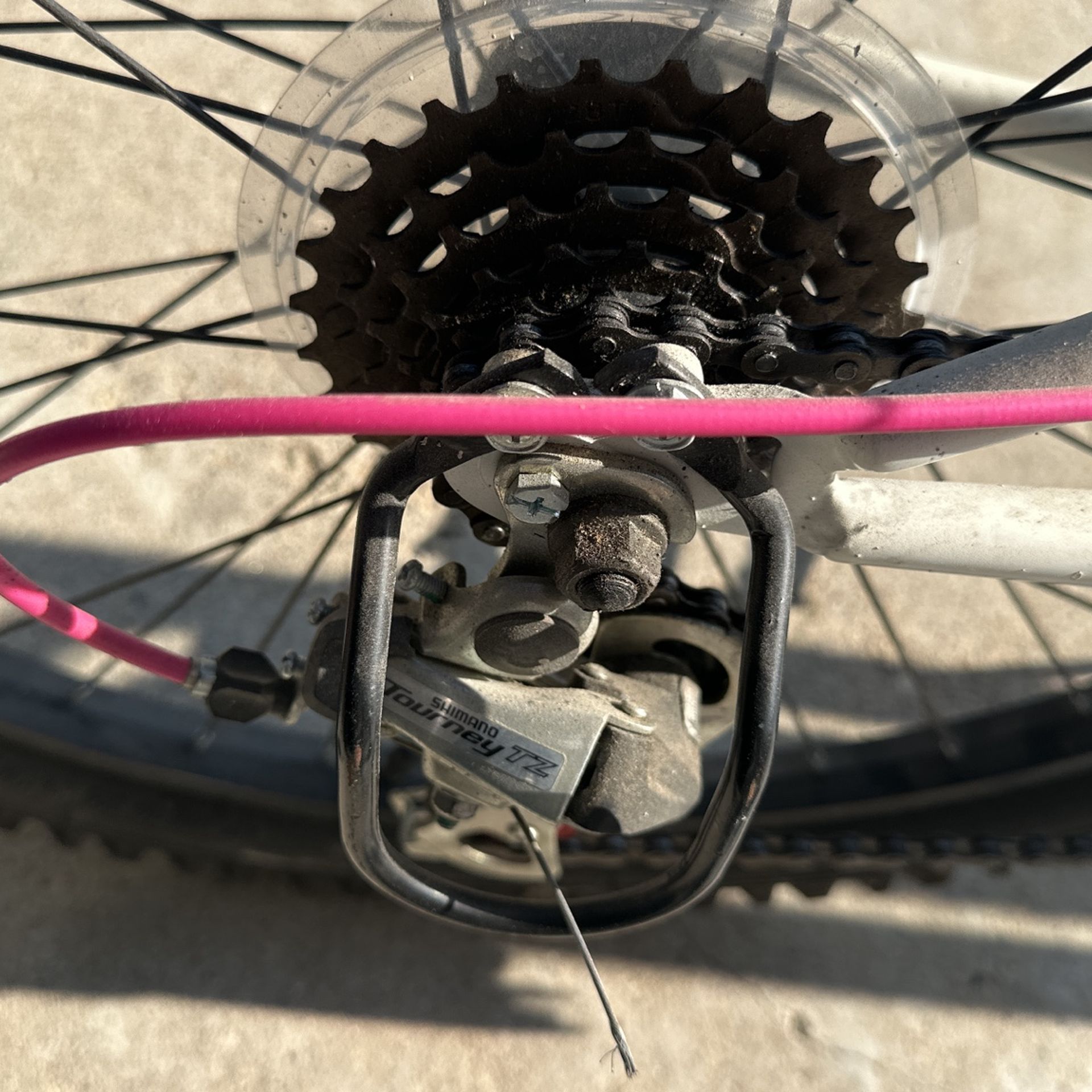 Dynacraft Vertical Alpine Eagle 24