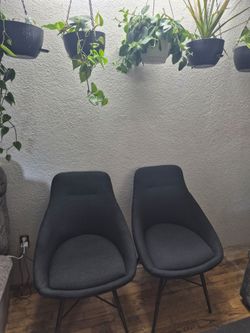 Dark Grey Chairs/ stools
