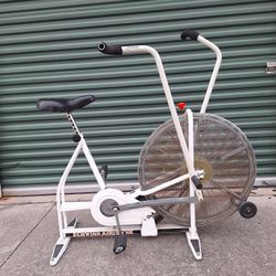 Schwinn Air Dyne