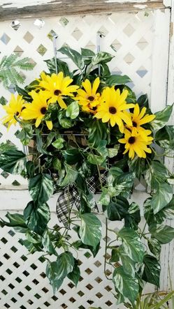 Floral arrangements