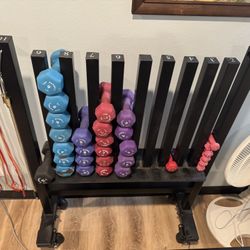 Dumbbell Rack On Wheels  Weights Shown Are Included 