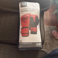Powerlock Training Gloves 