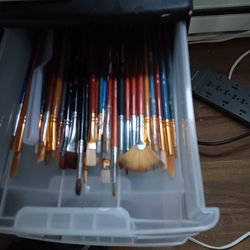 Princeton Pro Paint Brushes