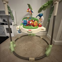 Fisher-Price rainforest Jumper