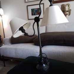 Lamp-directional Hinges