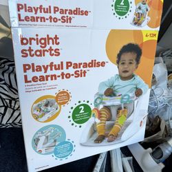 Bright Starts Baby Chair 