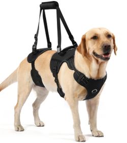 NOYAL Dog Lift Harness Pet Support Rehabilitation 