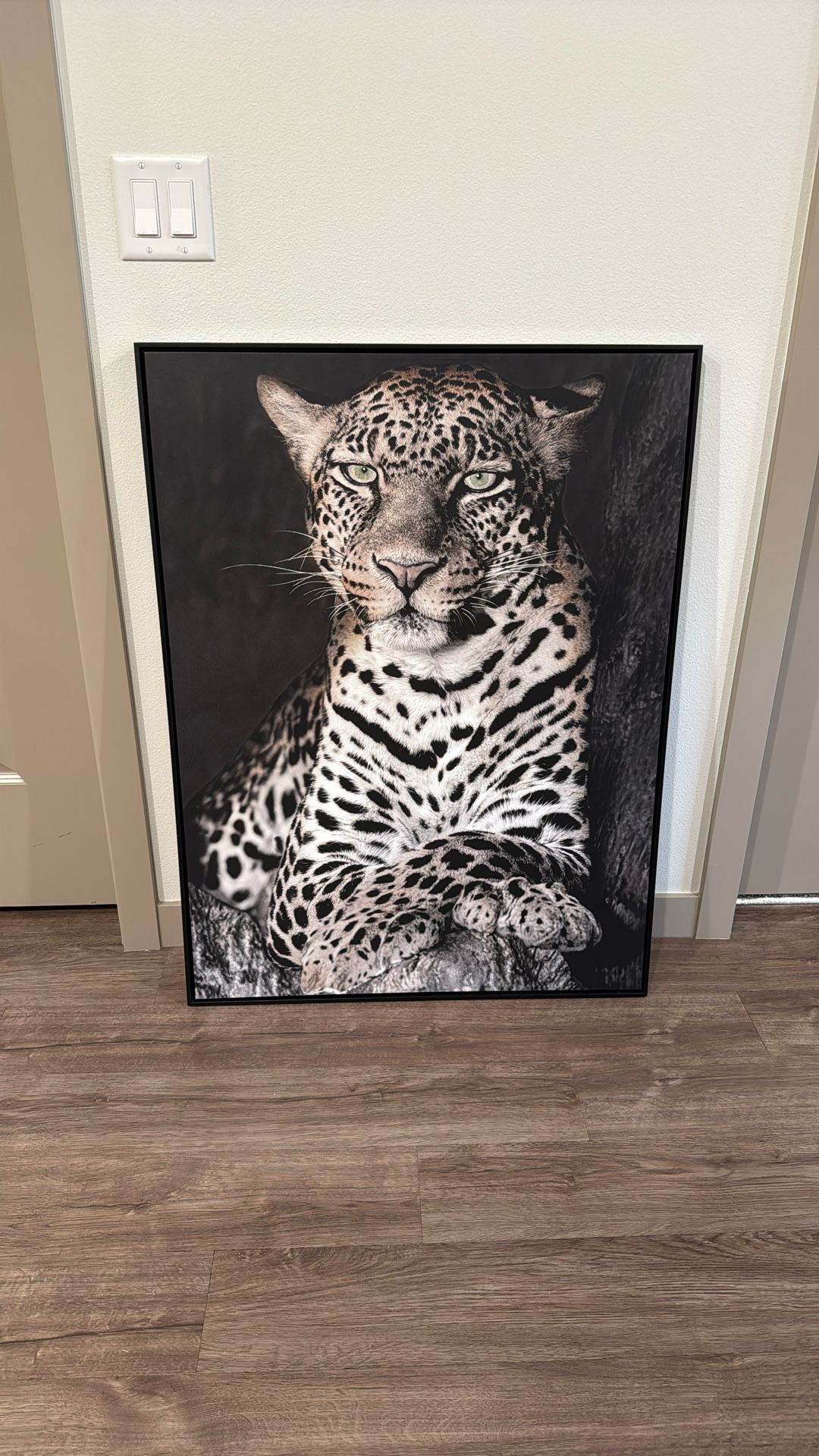 Tiger Portrait 30/40