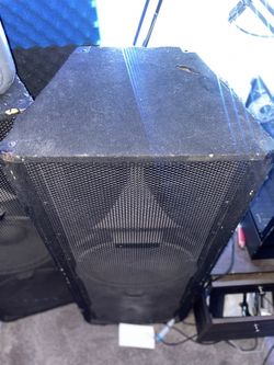 Peavey Dual Speakers
