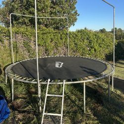 Free Trampoline. Disassembled And Ready To Go 