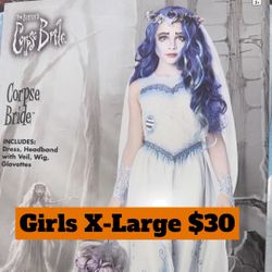 Girls New X-Large Costume