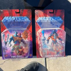 Masters Of The Universe Collectible
