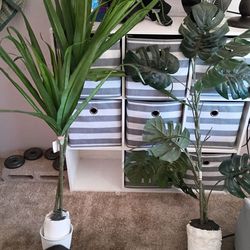 Artificial plants
