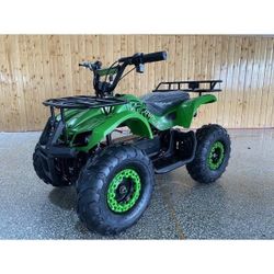 Kids ATV electric 500 w $895 plus tax