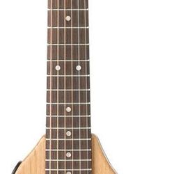 Traveler Scape Acoustic Guitar 