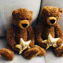 JOY and HOPE twin Bears
