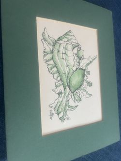 Inked Conch Shell with Green Watercolor Accents
