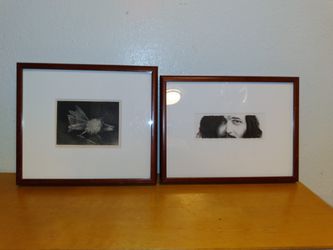 Hand Drawn Lithograph Pictures 