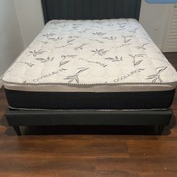 Queen Size Bed And Mattress New 