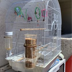 Bird Cage With Everything 
