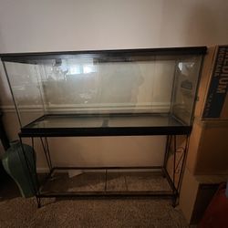 Fish Tank/reptile