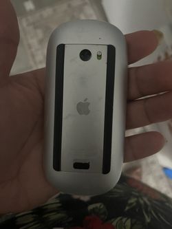 Apple Mouse