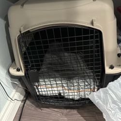 Medium Dog Kennel