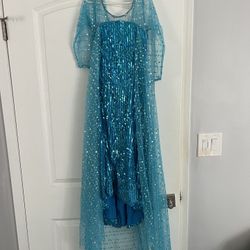 Brand New Elsa Dress Size 6